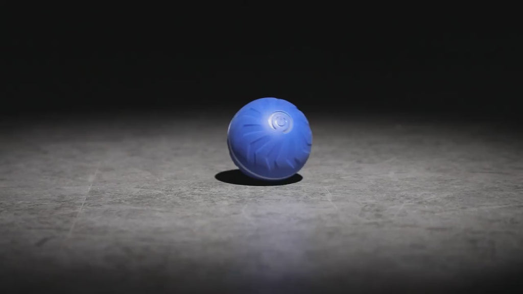 Smart Buddy ball